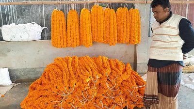 দেশের বিভিন্ন স্থানে যায় ঝিনাইদহের ফুল